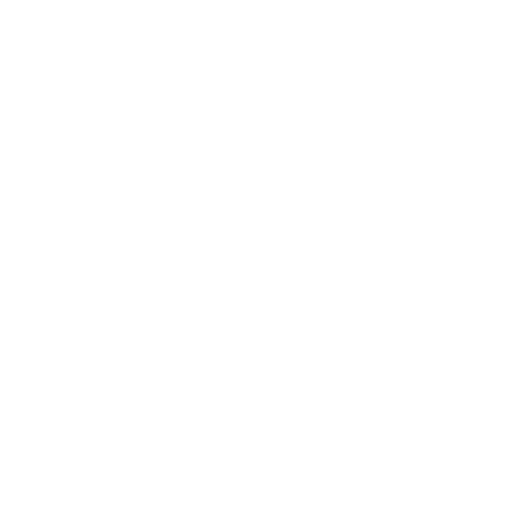 SMS Passcodes