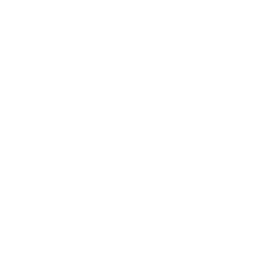 Comprehensive Security Services
